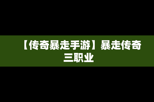 【传奇暴走手游】暴走传奇 三职业