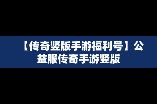 【传奇竖版手游福利号】公益服传奇手游竖版