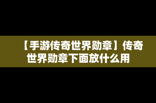 【手游传奇世界勋章】传奇世界勋章下面放什么用