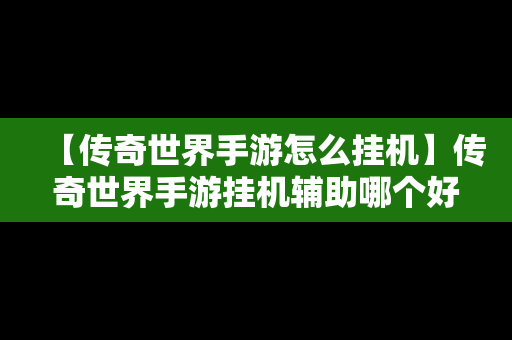 【传奇世界手游怎么挂机】传奇世界手游挂机辅助哪个好用