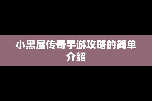 小黑屋传奇手游攻略的简单介绍