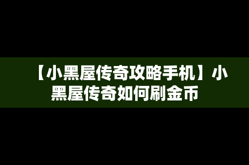 【小黑屋传奇攻略手机】小黑屋传奇如何刷金币