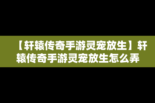 【轩辕传奇手游灵宠放生】轩辕传奇手游灵宠放生怎么弄