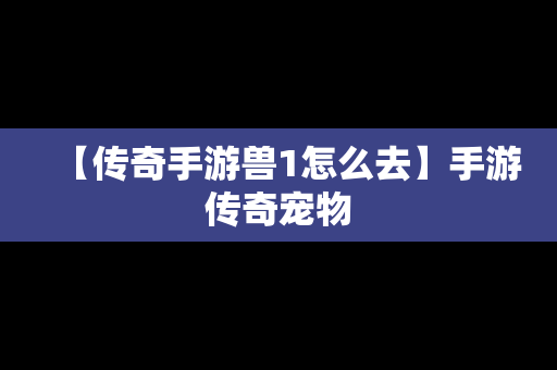 【传奇手游兽1怎么去】手游传奇宠物