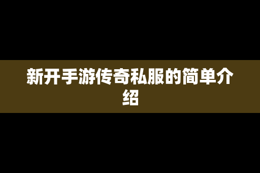 新开手游传奇私服的简单介绍