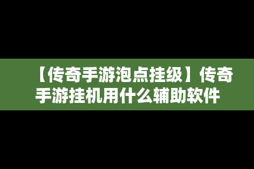 【传奇手游泡点挂级】传奇手游挂机用什么辅助软件