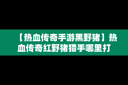 【热血传奇手游黑野猪】热血传奇红野猪猎手哪里打